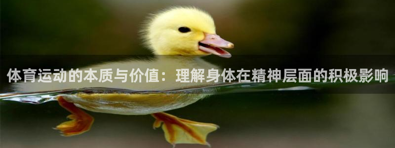 天天體育公司