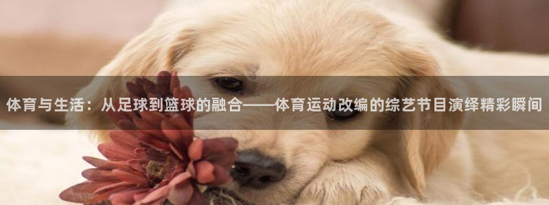 天天體育nba直播