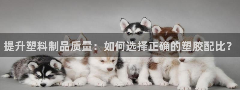 天天體育cctv5直播在線：提升塑料制品質(zhì)量：如何選擇正確的塑膠配比？