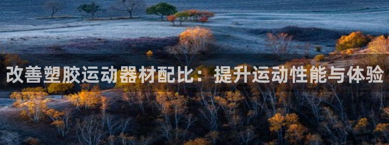 天天體育一賽季一生情2025：改善塑膠運(yùn)動(dòng)器材配比：提升運(yùn)動(dòng)性能與體驗(yàn)